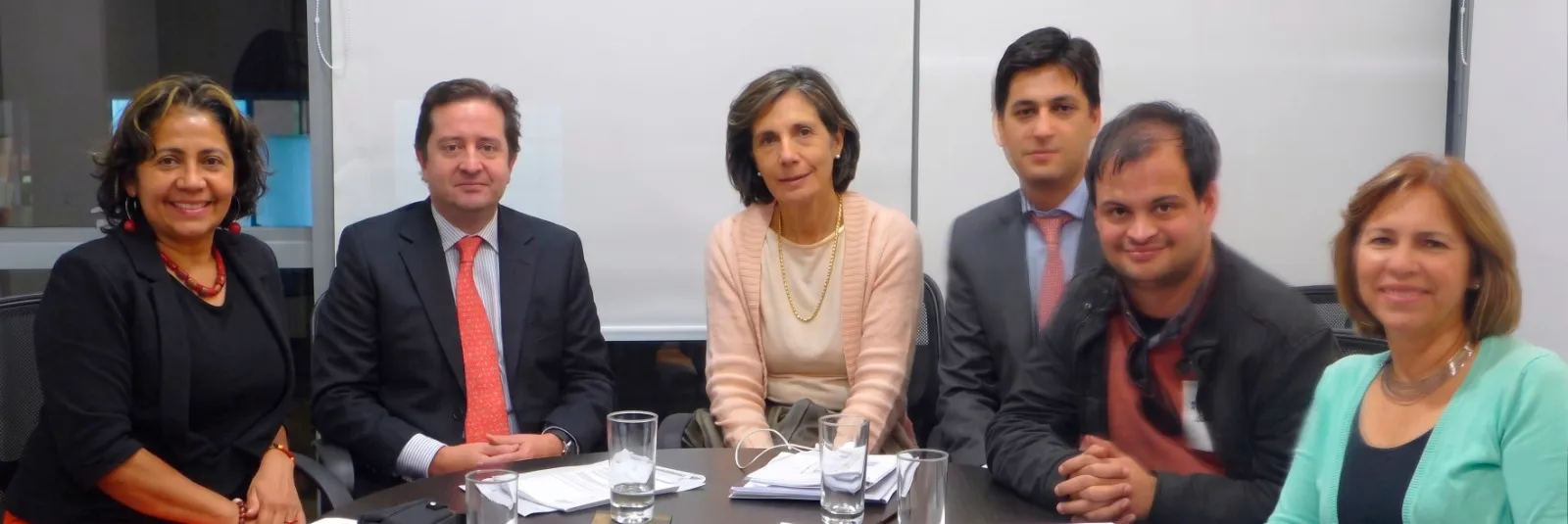 Junta Directiva de la Asociación Aconiño